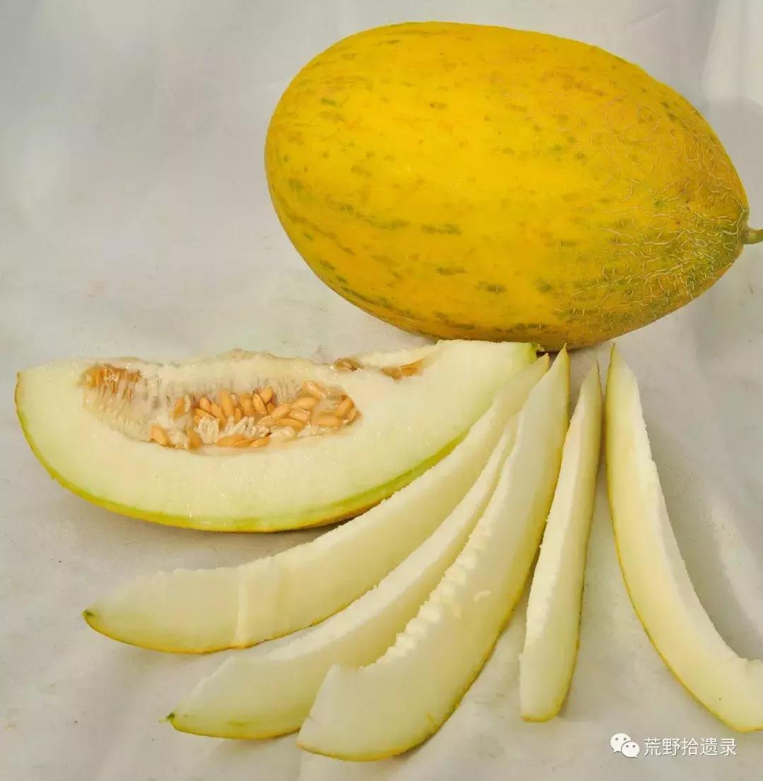 四川适合种植哈密瓜甜瓜品种,甜瓜种植技术新疆哈密瓜