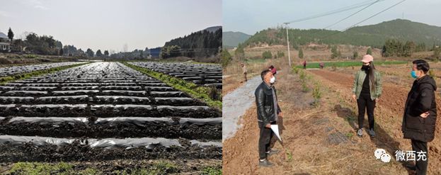 抗疫情保春耕服务农民万里行,春耕农忙抗击疫情