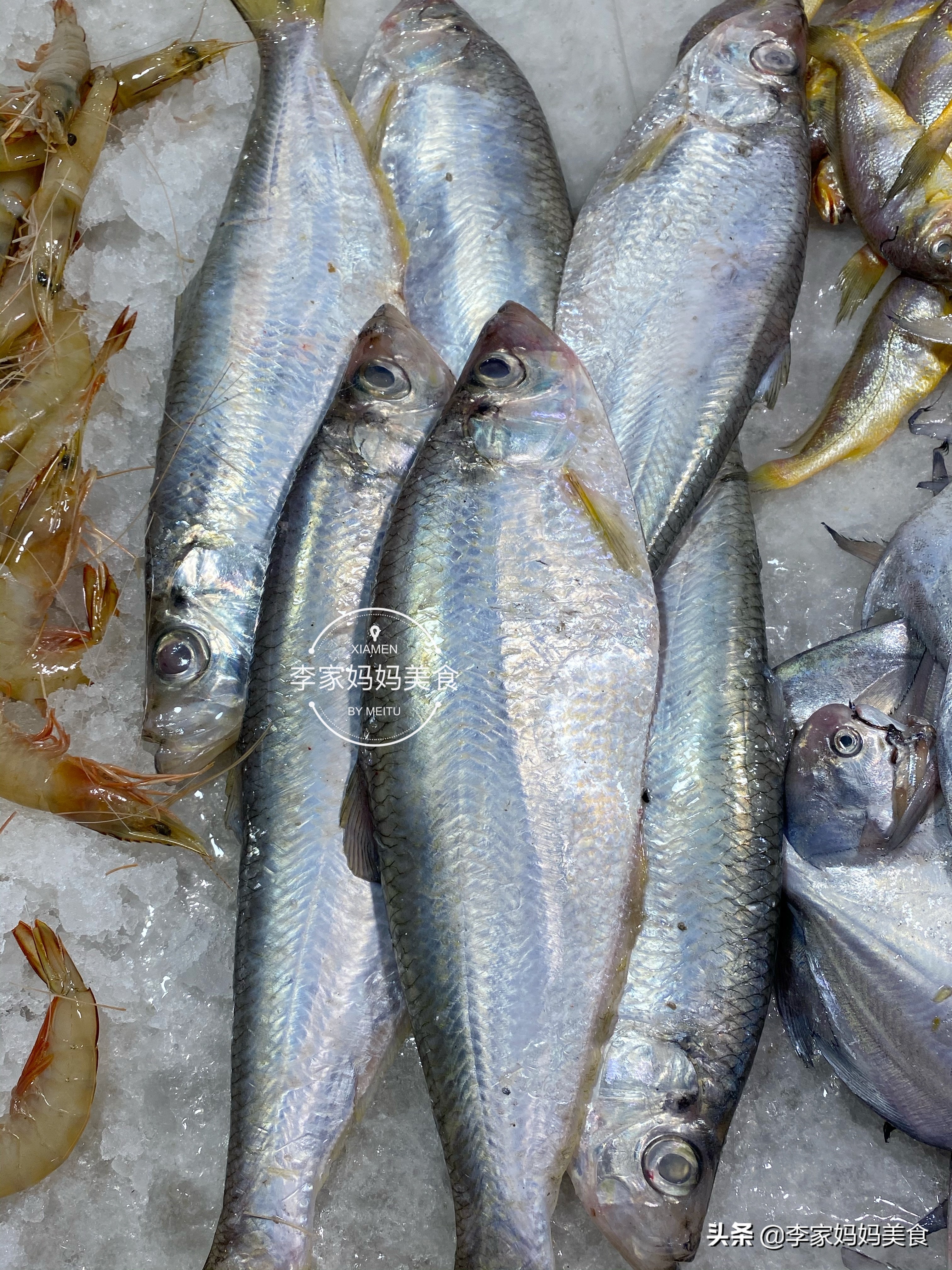 冬季海鲜推荐平价海鲜,便宜又好吃的冷门海鲜