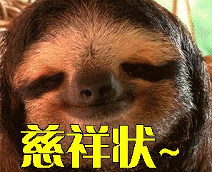 非洲野狗作战能力超过“掏肛”的鬣狗，对外凶狠，对内温馨有爱