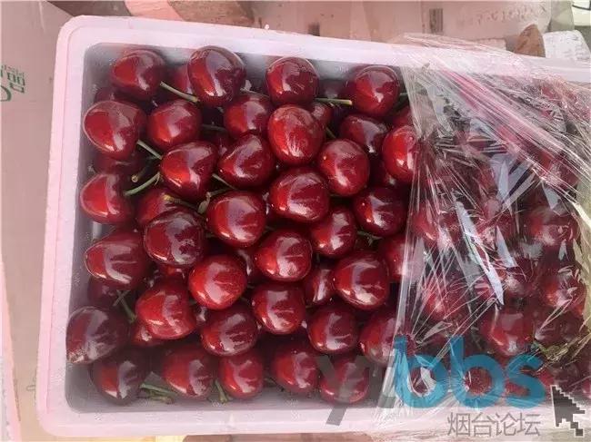 某平台出现“烟台樱桃*子骗**”，20元一斤，转账完就拉黑...