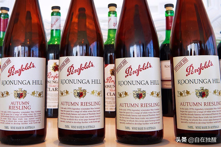 奔富酒园大师传奇金钻m199干红,奔富各系列酒价格表