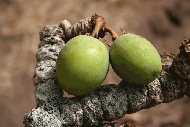 敏感肌肤适用的补水面膜有哪些,敏感肌肤适合哪款面膜