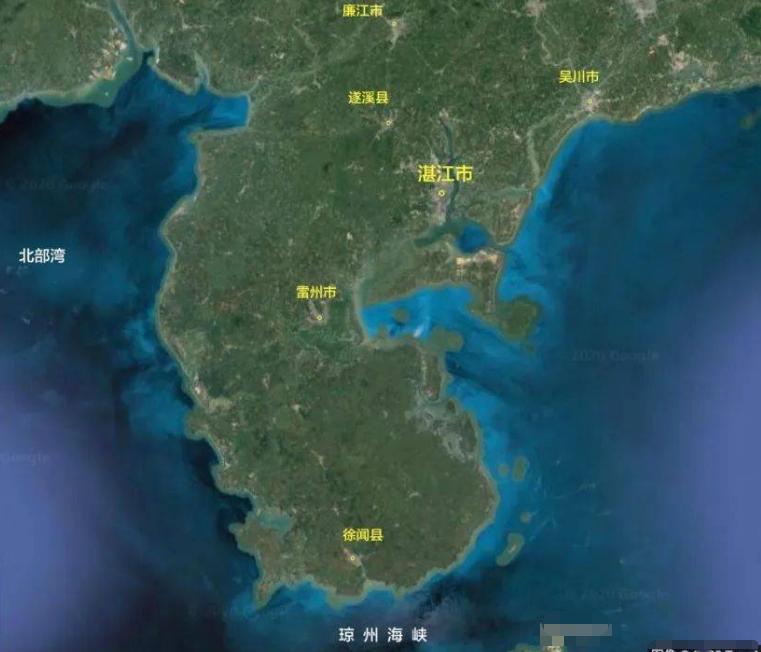 徐闻菠萝与武汉菠萝区别,徐闻菠萝跟普通菠萝的区别