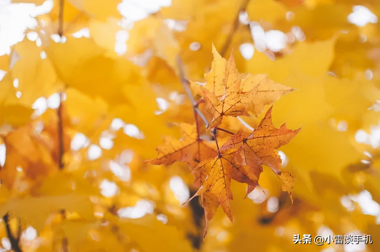 2023年年底笔记本电脑推荐,2019年3月份笔记本电脑推荐