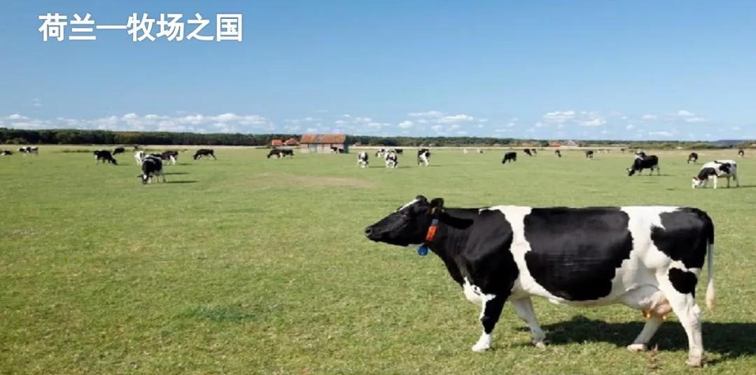 五下语文第19课牧场之国预习笔记,部编版五年级语文下册19牧场之国