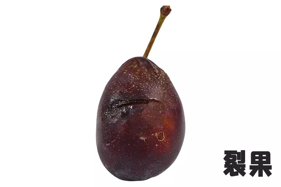 *疆新**西梅怎么选！分选标准在这里了