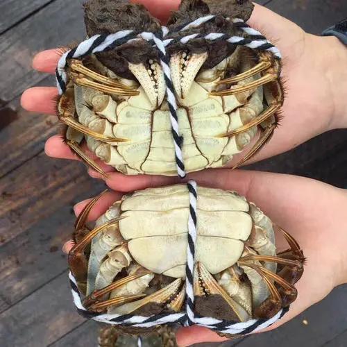 螃蟹的最佳吃法和禁忌,螃蟹虽美味但这六类人应少吃