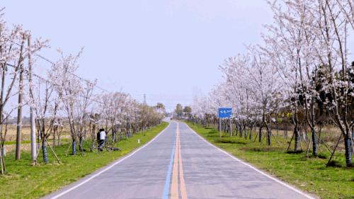 南京周边免费旅游景点推荐一日游,南京免费的旅游景点有哪些地方
