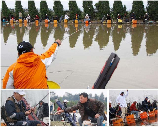 野钓蓝鲫怎么选择,钓鲫鱼用野战蓝鲫还是老三样