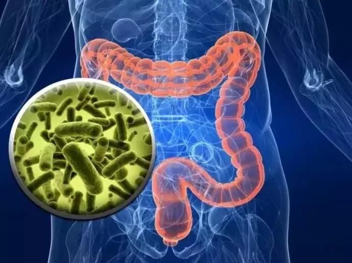 细菌影响基因发展吗,细菌的影响