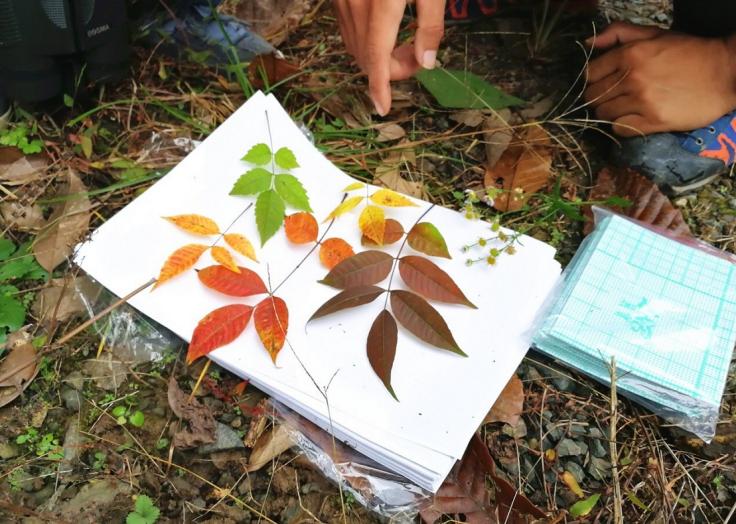 他叫辛巴，不是狮子王，8岁穿越12国：最好的教育，永远在路上