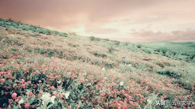 成语词语接龙带数字,二千条成语首尾接龙