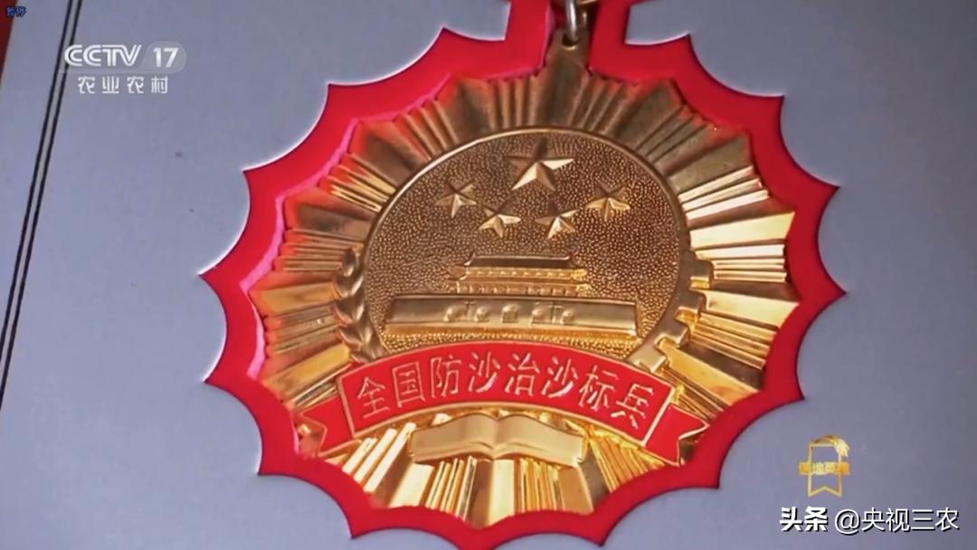 荒漠变绿洲不怕苦也不认命,荒漠变绿洲24年种下300万棵树