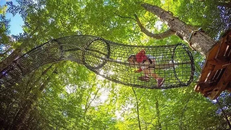 湖南长沙周边一日游景区推荐,长沙周边岳阳一日游玩最佳地方