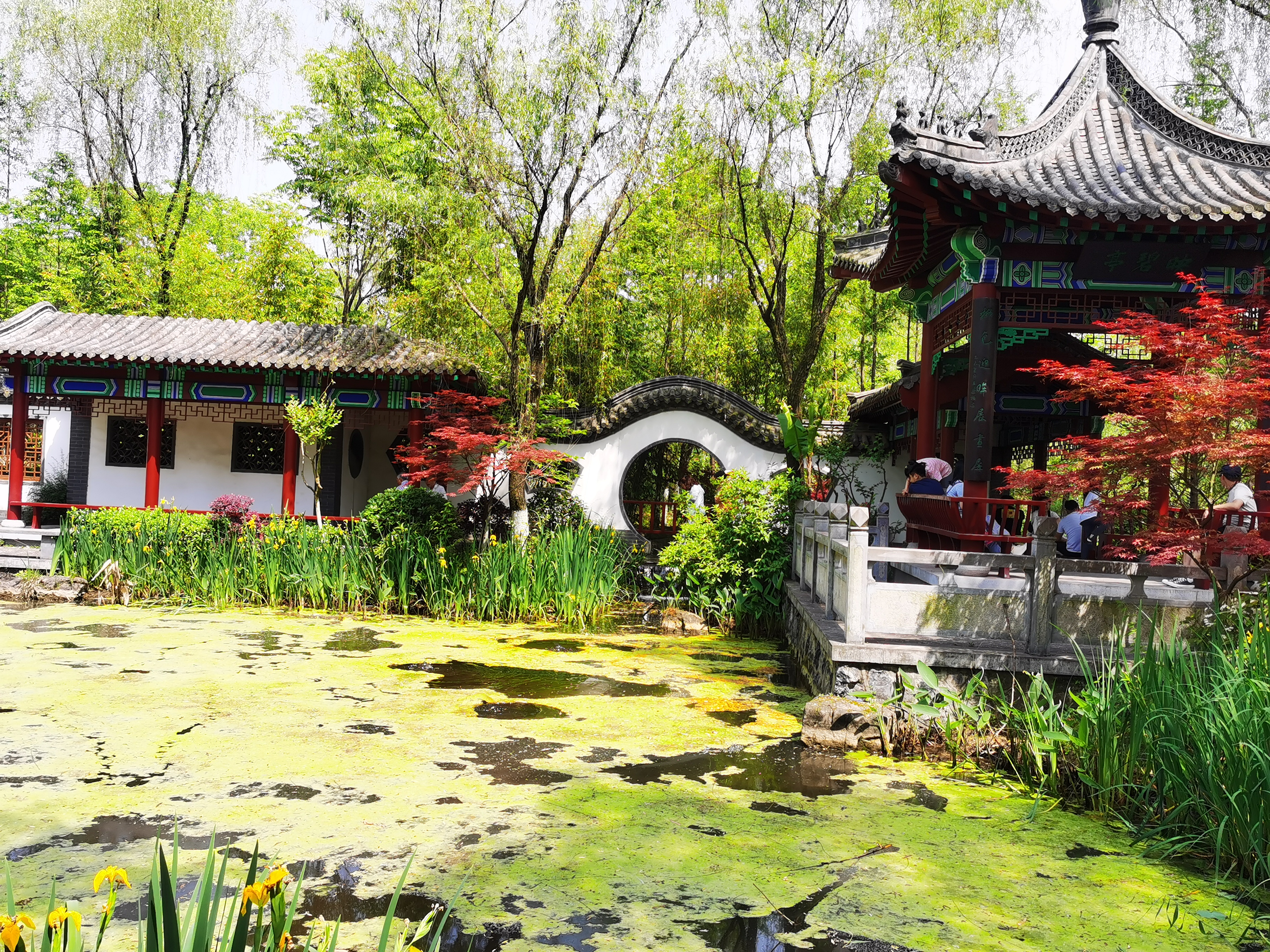 沉睡的历史与惊艳的现实——走读东西湖