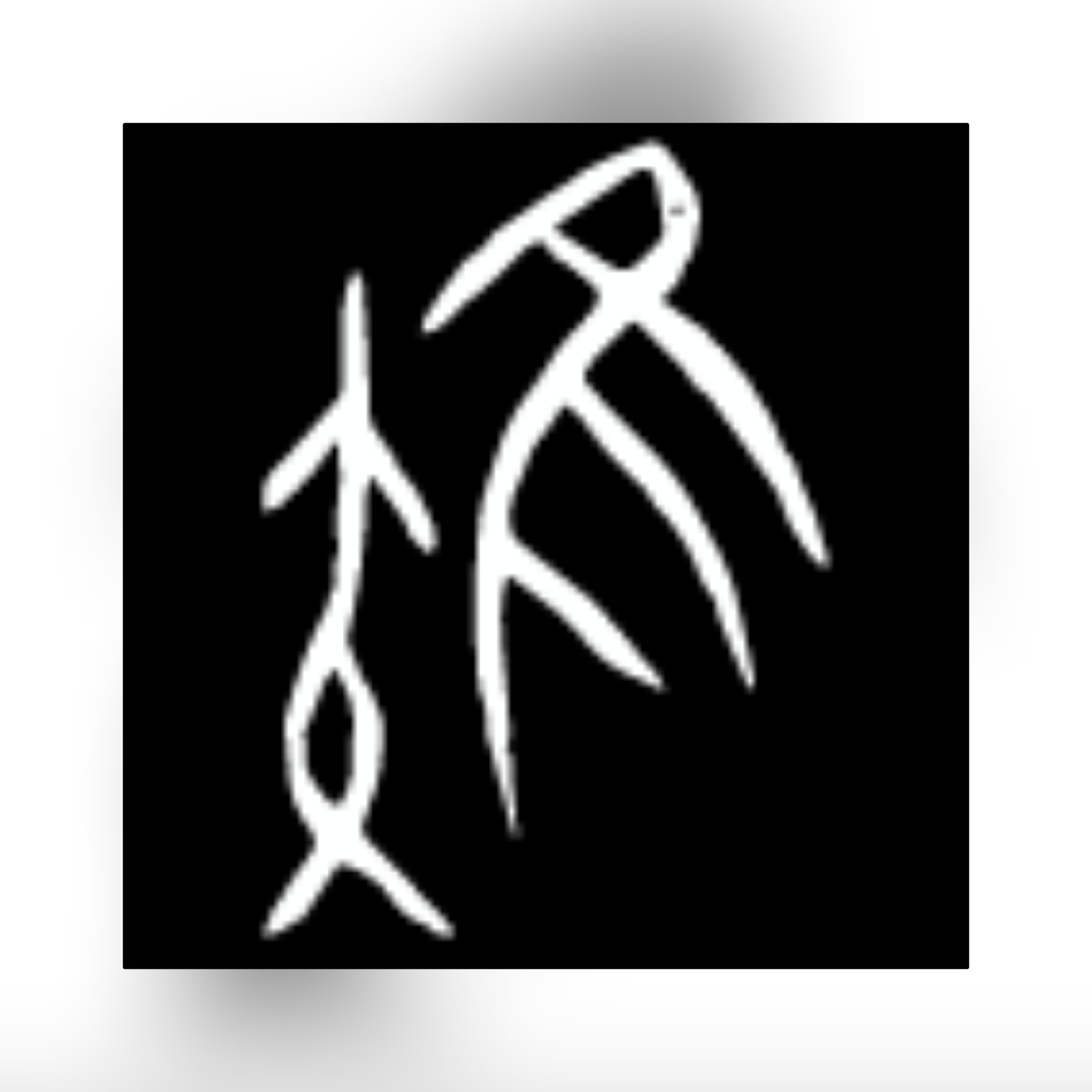 有隹字旁的字,隹字古意