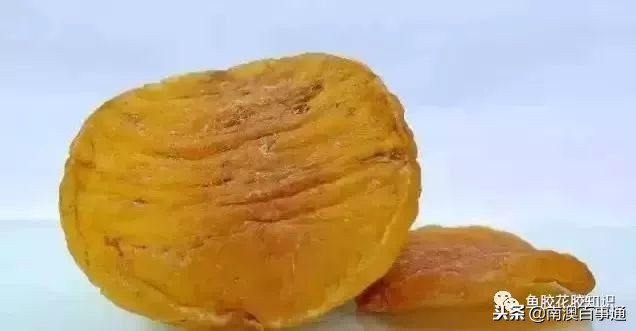 涨知识！鱼胶种类大全，不看亏大了！