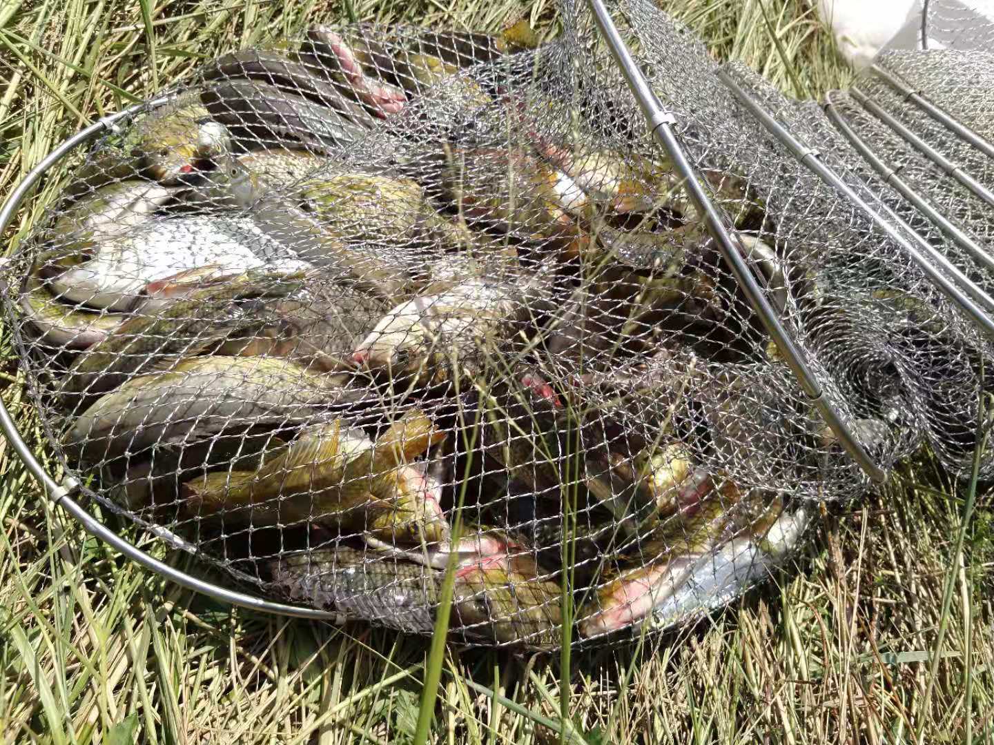 钩距多少为最合适,钩距多少比较合适