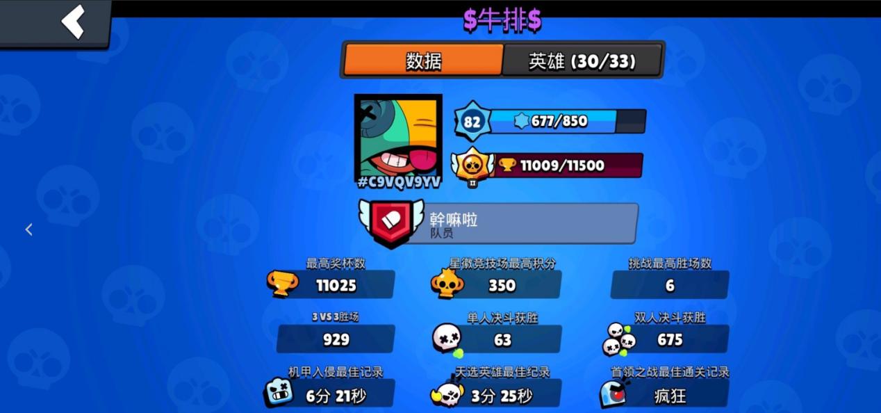 荒野乱斗队友太垃圾怎么办,荒野乱斗容错率高阵容