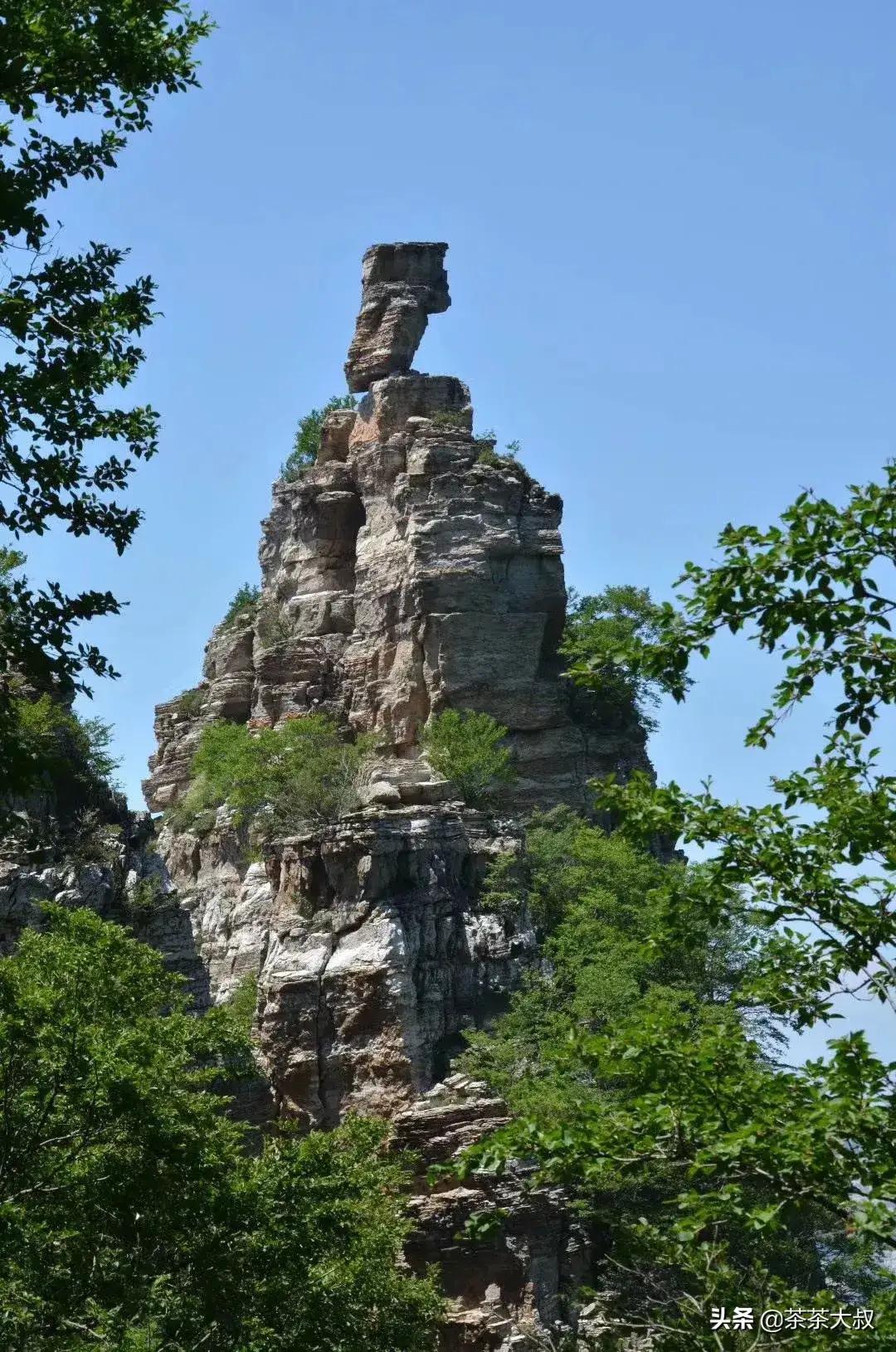 血小板聚集率正常范围,老年人血小板正常范围是多少