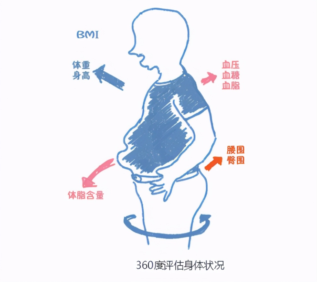 身体体质自检表您一定要测试一下,判断身体健康指数的方法