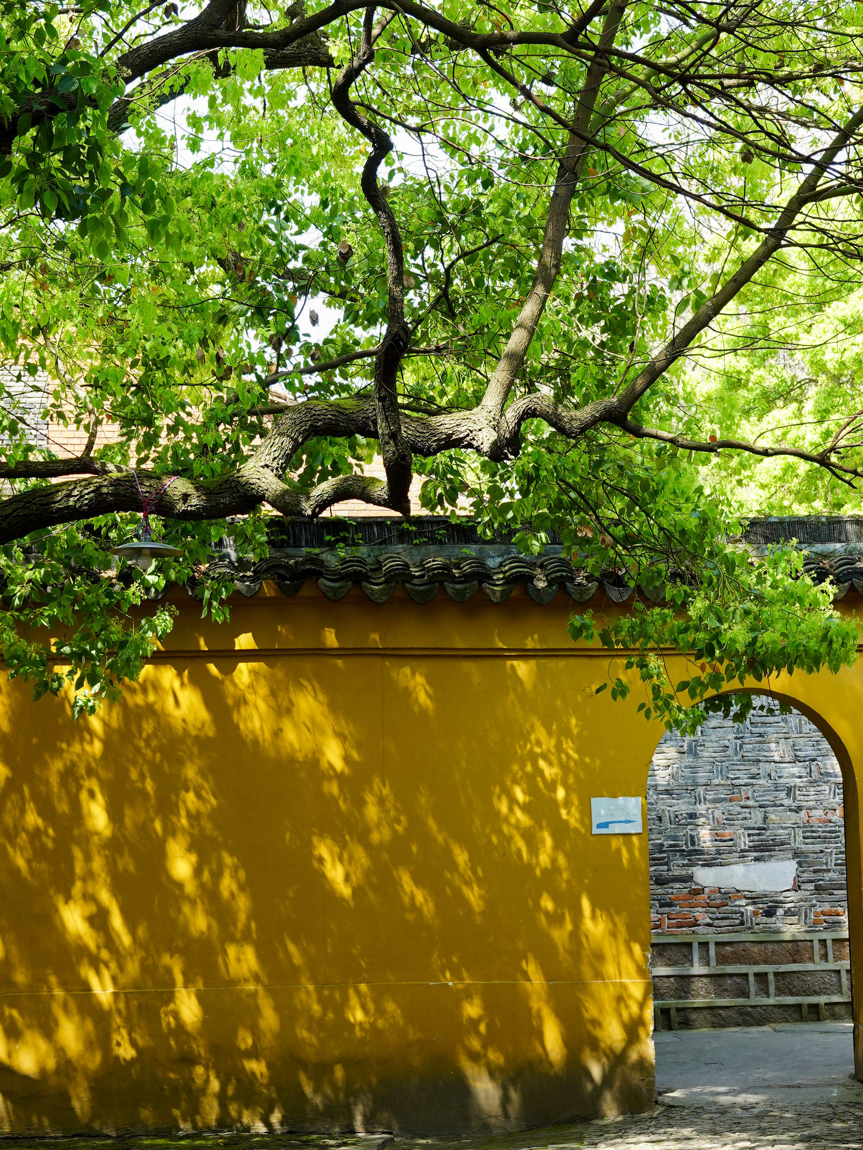 鑻忓窞鏃呮父灏忎紬鏃呮父鏀荤暐,鑻忓窞鏃呮父鏀荤暐灏忎紬鏅偣鎺ㄨ崘