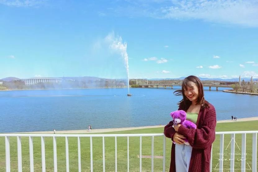 澳洲｜春意堪培拉，看袋鼠、品酒、赏花、住进动物的家