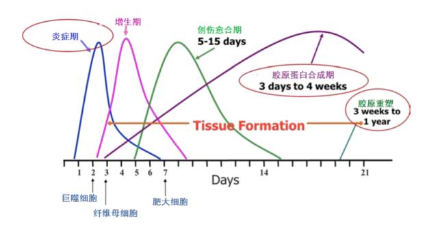 热玛吉第五代原理及讲解,第五代热玛吉的优缺点