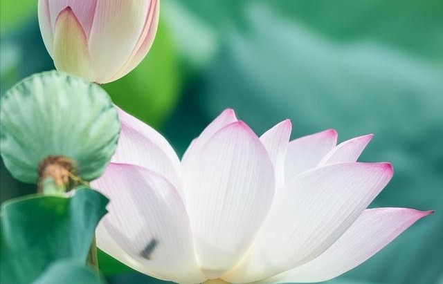 春风十里不如你写给女人的话,春风十里不如你深情对话