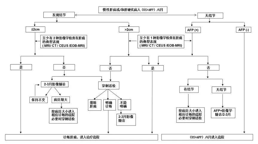 最新！卫健委公布原发性肝癌治疗规范（2019）要点解析