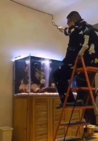 小米鱼缸智能排水,小米自动抽水神器测评