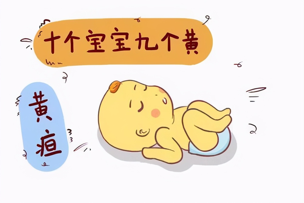 哺乳期怀孕孩子要马上断奶吗,哺乳期如果怀孕了多久乳晕会加深