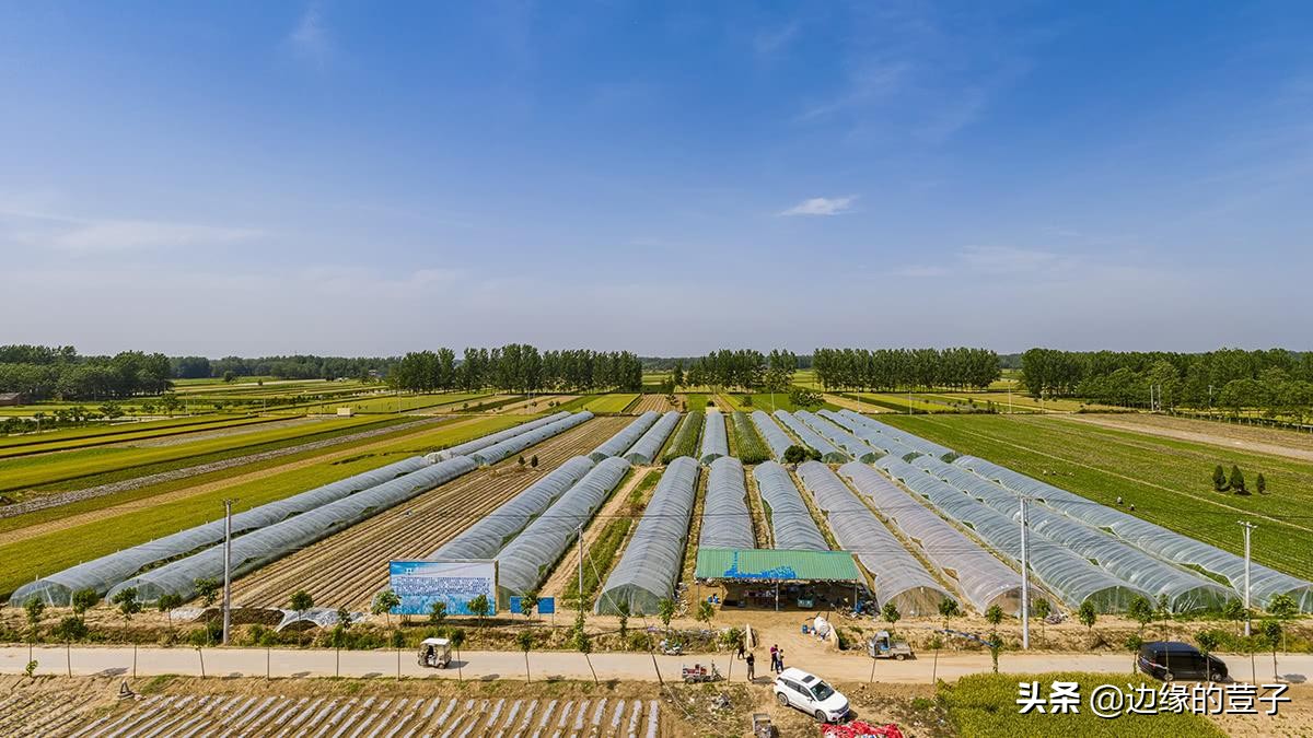 今年养殖业最新政策,目前农村养殖业怎么收费