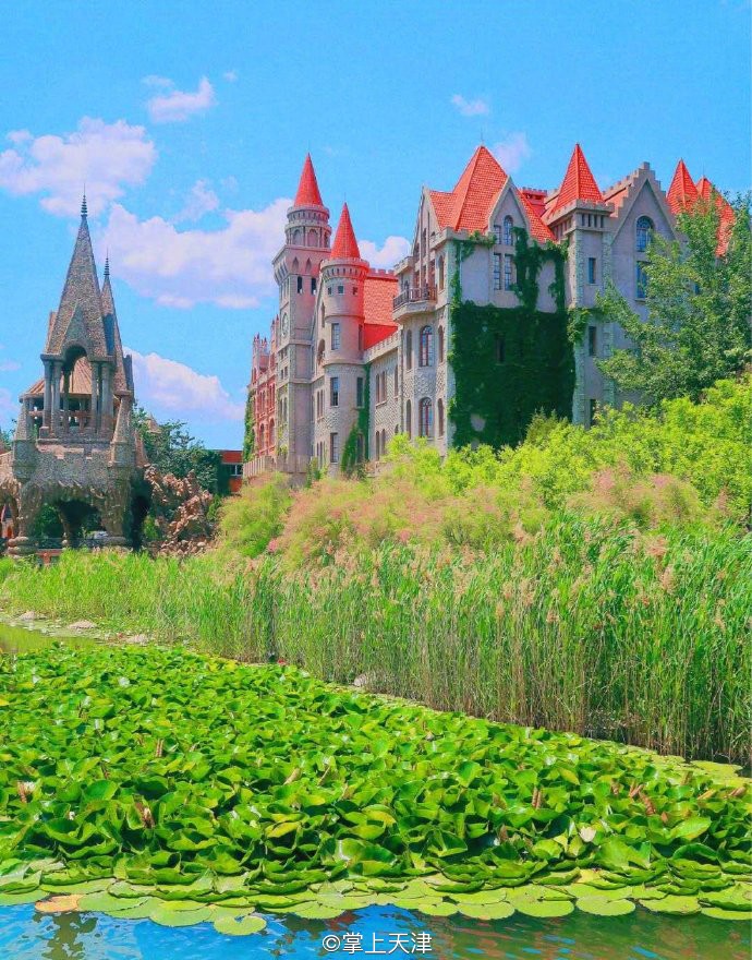 低调的王者完整版,低调的王者奥迪