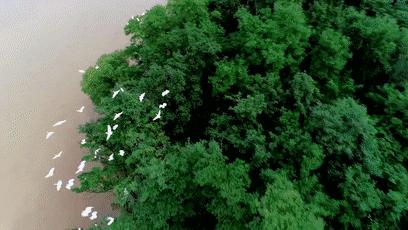 閮戝窞椋為笩瀹跺洯鍥剧墖澶у叏,閮戝窞椋為笩瀹跺洯椋庢櫙