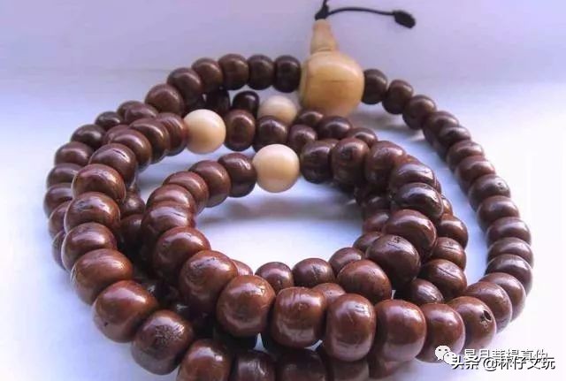 凤眼菩提最全面的讲解长篇,凤眼菩提最全面的讲解