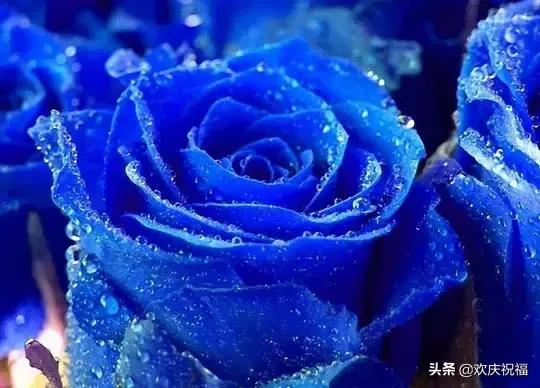 明日七夕，777幸福花送给群里所有的朋友，谁打开，谁幸福