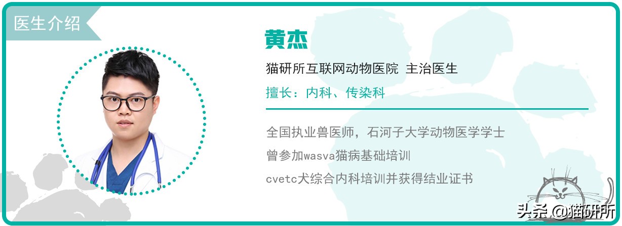 专业宠医答疑：新猫进家前必做的6项体检，万万不可少！
