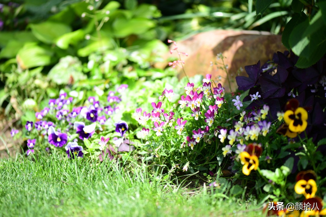 愿时光静止,愿时光静止在这一刻