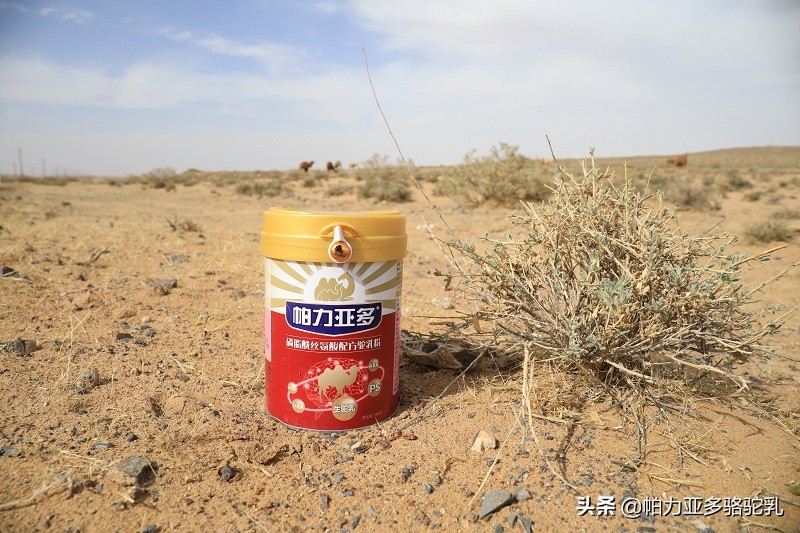 帕力亚多驼奶粉300克多少钱,帕力亚多骆驼奶粉的功效和作用
