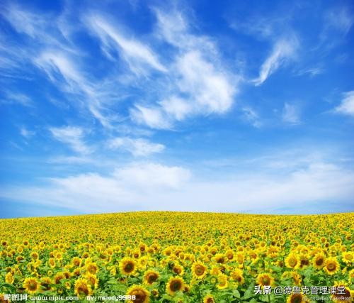 如何写简历让人眼前一亮,一份眼前一亮简历