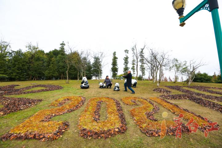 大运会会徽成都,成都大运会会徽图案