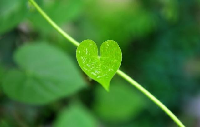 有缘的人，一眼倾心就书写了相思漫卷的爱意