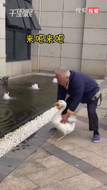 中国人打疫苗,打疫苗仪式感搞笑