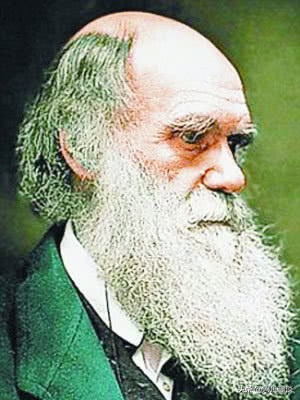 达尔文生物进化论,达尔文物种进化论