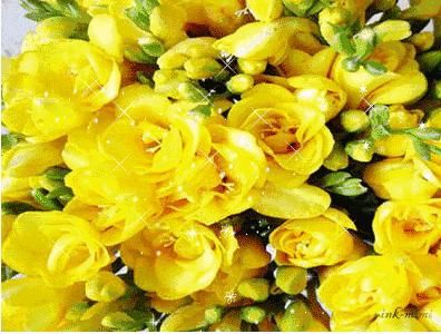 早上好！12月6发财日，祝你天天赚金砖，日进斗金，钱数不完