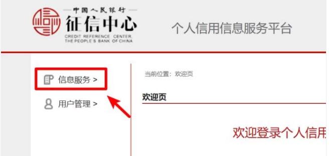 征信官网查的征信报告是详细版吗,免费征信查询怎么查征信报告