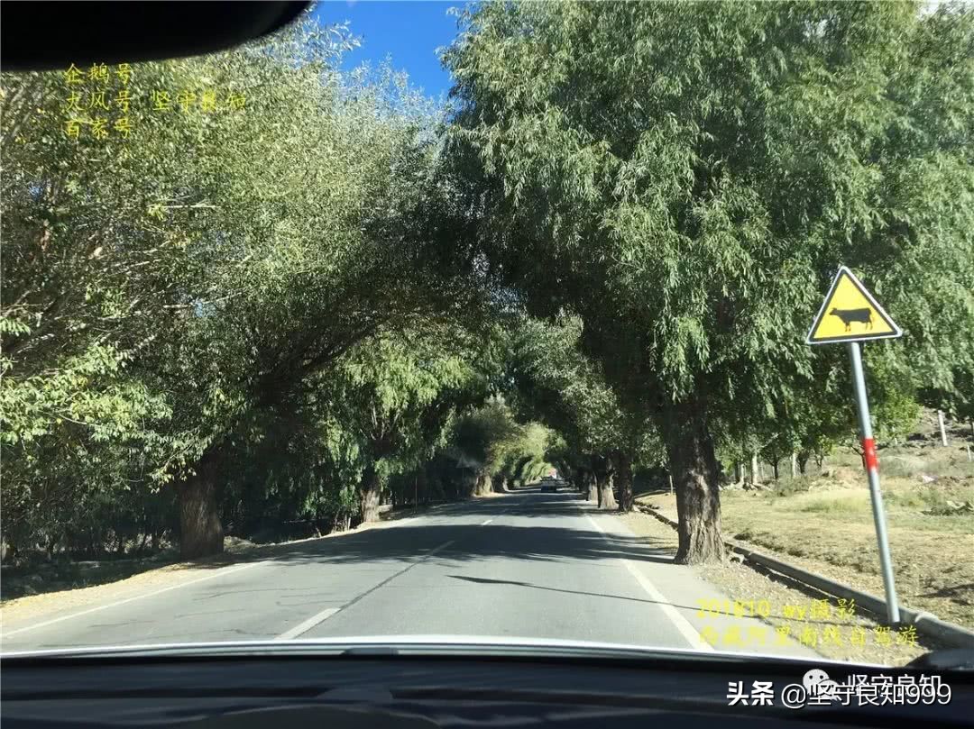 阿里大环线西藏圆梦之旅,西藏阿里南线7天详细攻略