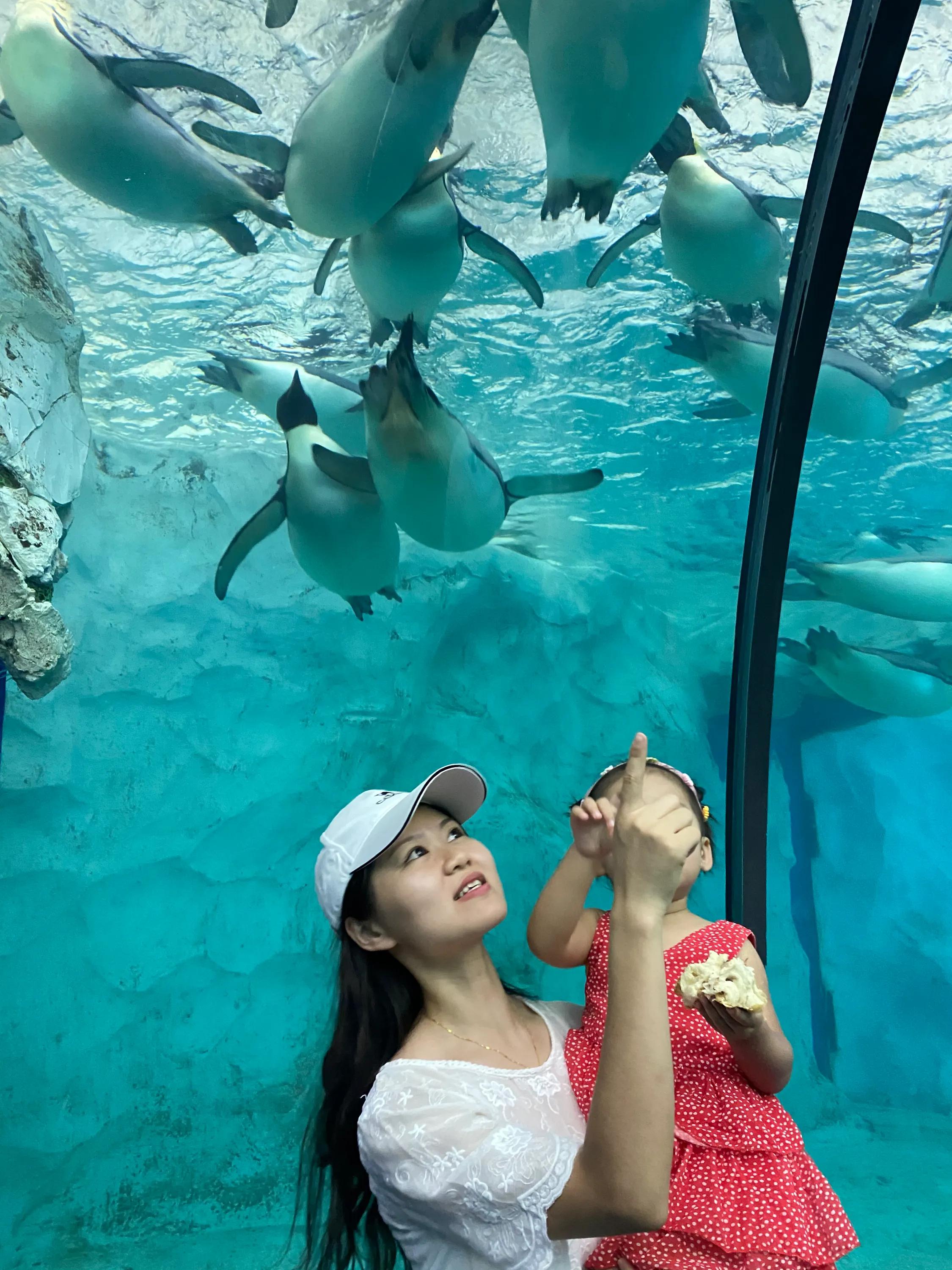 珠海长隆海洋王国游玩最省钱攻略,珠海长隆海洋王国游玩隐藏攻略